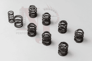 Valve springs for pd 8v