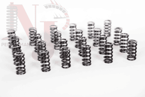 Valve springs set tdi commonrail 24v