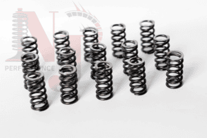 Valve springs 16v PD commonrail TDI Common rail valve springs VAG