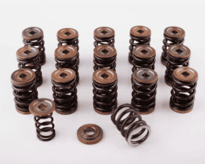 Dual valve springs