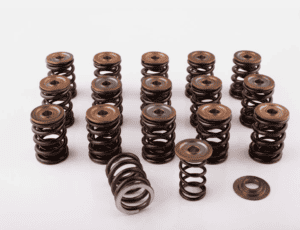 dual valve springs