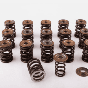 dual valve springs