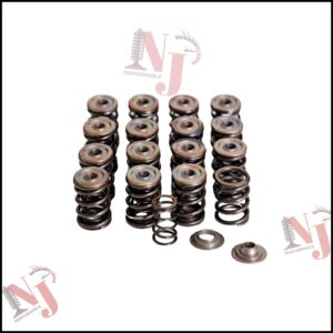 ABF, M52 M54 dual valve springs