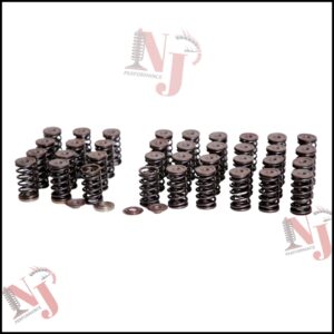 M275 Mercedes valve springs